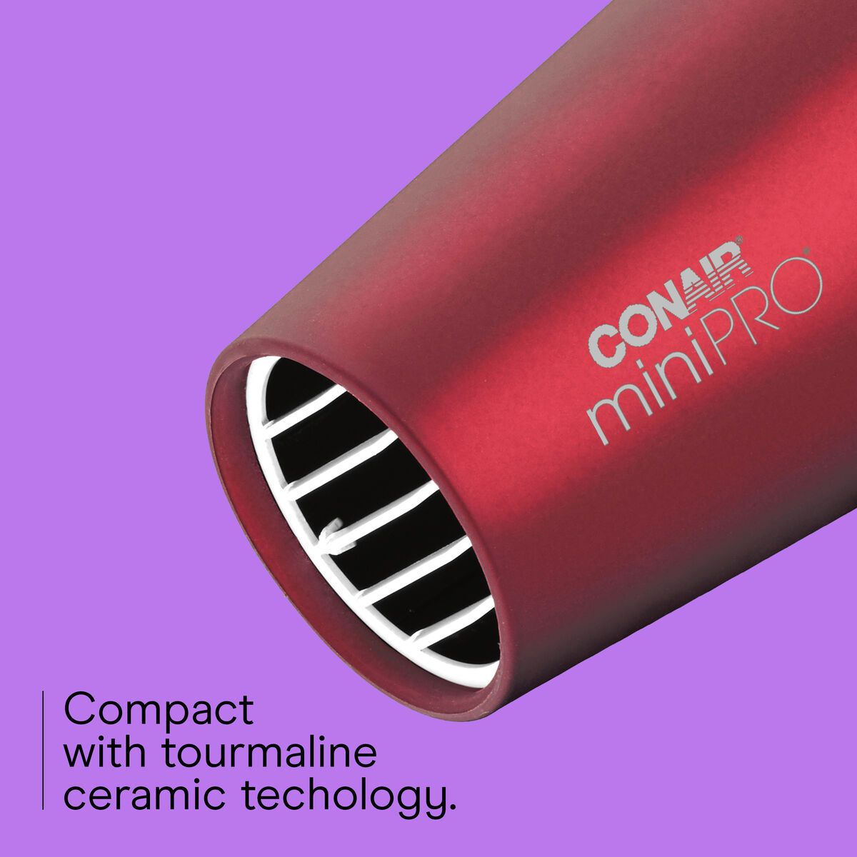 MiniPRO&reg; Hair Dryer