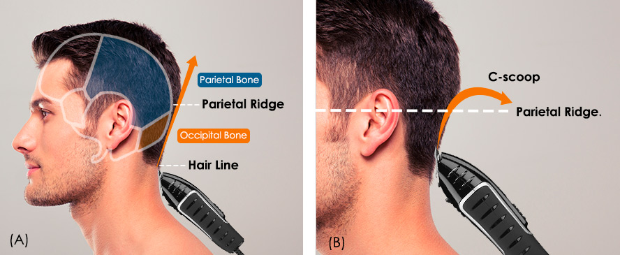 Left: Locate the parietal ridge. / Right: C-scoop or crescent motion for blending.