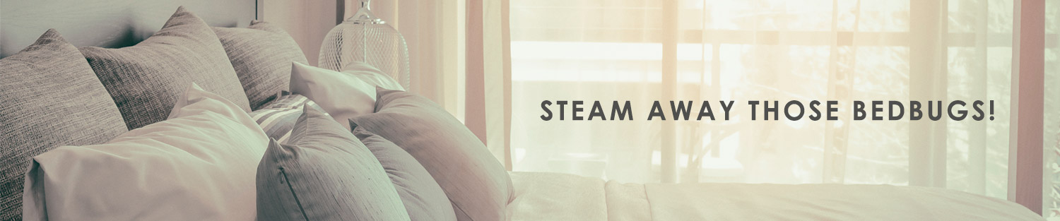 Steam Away Those Bedbugs - Image of bedding