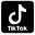 TikTok Logo Icon