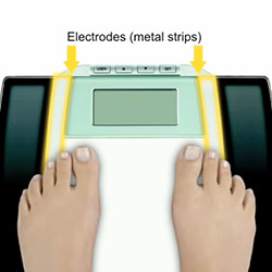 When 0.0 appears, step on the scale.