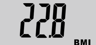 Weight Scales Instant 1