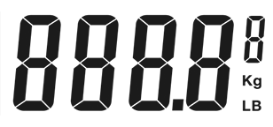 Weight Scales Instant 1